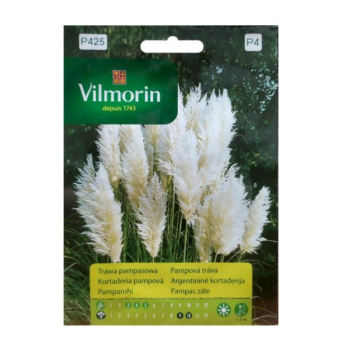 Kortaderia pampova 1g