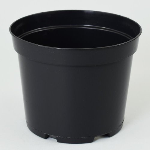 Kontajner 25/26cm, 7,5l sbx - Vianočné dekorácie