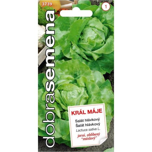 Šalát hlávkový král máje 0,4g