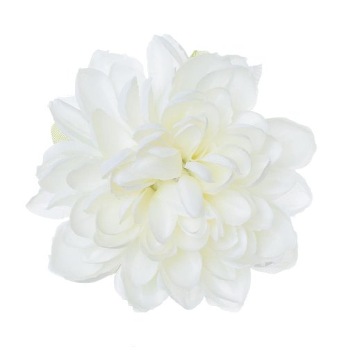 Hlava dhalia biela p:11cm bal:24ks