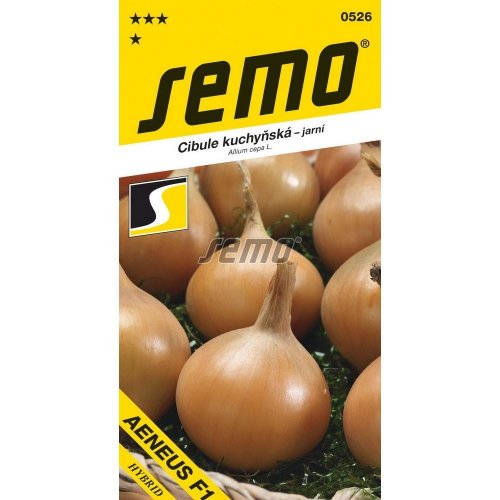 Cibuľa aeneus f1 - žltá, jarná 2,5g