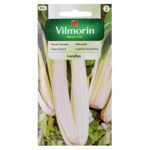 Mangold lucullus 10g