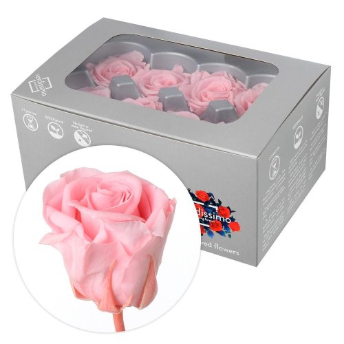 Ruža preparovaná 4cm pastel pink /ks- bal. 8 ks - Veľkonočné ozdoby