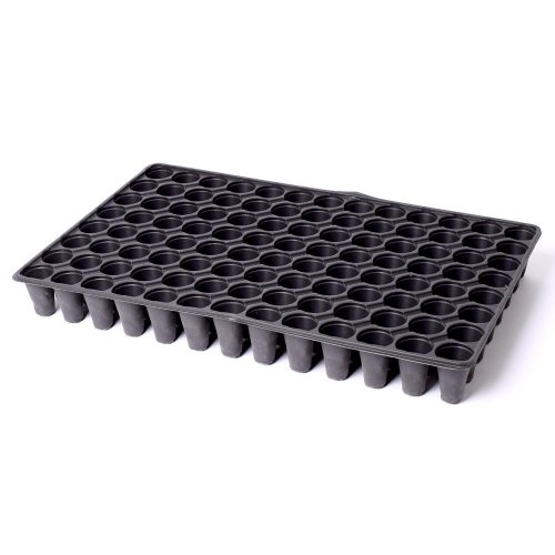 Multiplato 104bun. 33x53x6cm