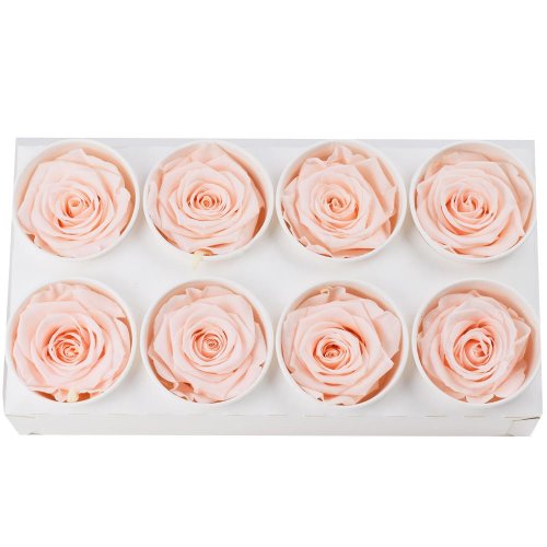 Ruža preparovaná 5cm pink blush /ks - bal. 8 ks - Umelé kvety