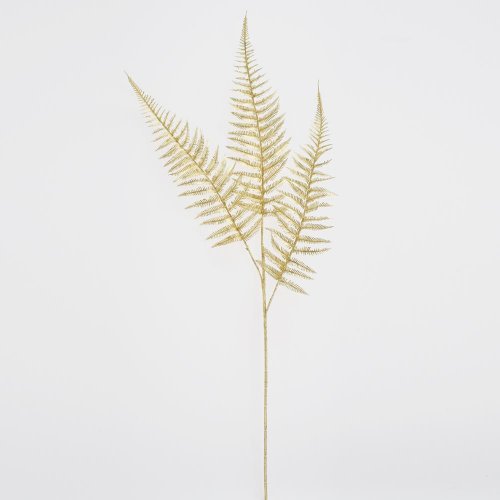 Zeleň papraď zlatá 79cm
