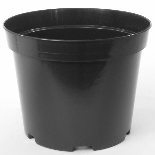 Kontajner 28x22cm, 10l sbx