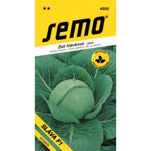 Kapusta hl sláva f1 50s