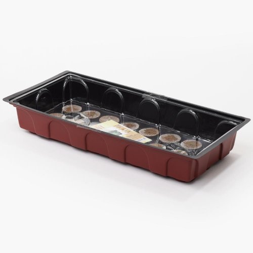 Grunt parenisko + 24 tabl/60/ 19x39x6cm