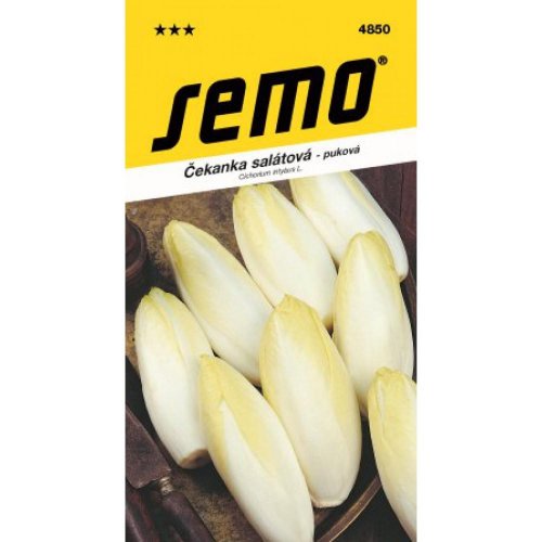 Čakanka obyč. mechelse middelvroeg 0,6g