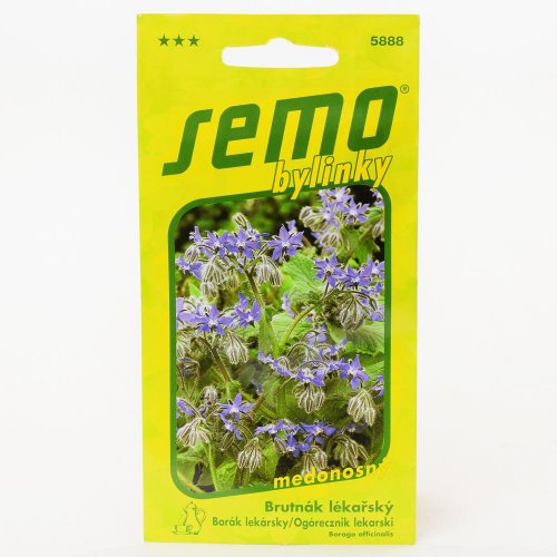 Borák lekársky 1,80g - Vianočné dekorácie