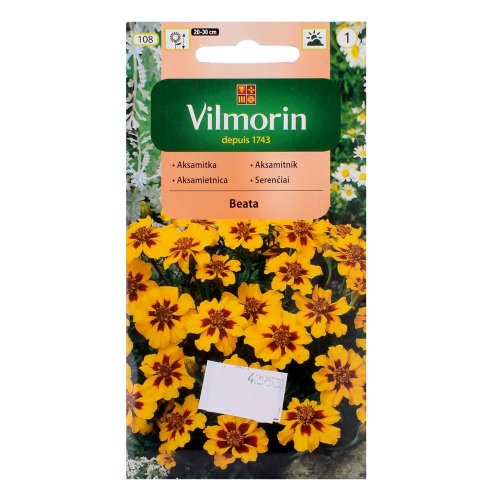 Aksamietnica rozložitá jednoduchá beata 1g