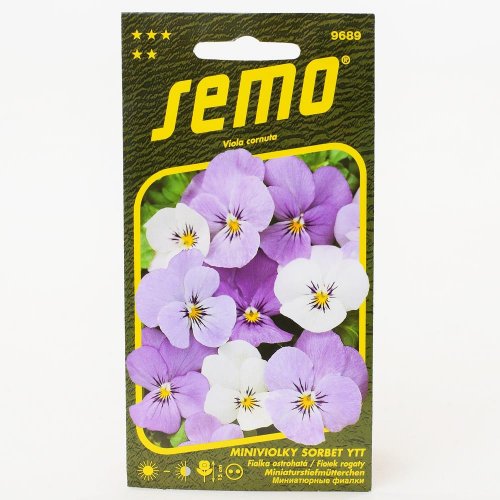 Fialka ostrohatá sorbet ytt