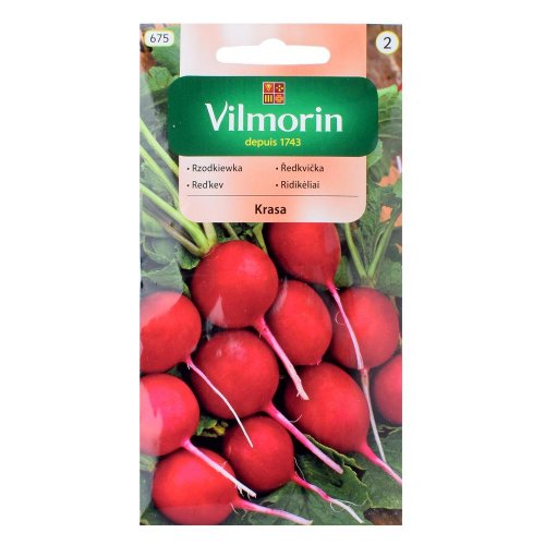 Reďkovka krasa 10g - Umelé kvety