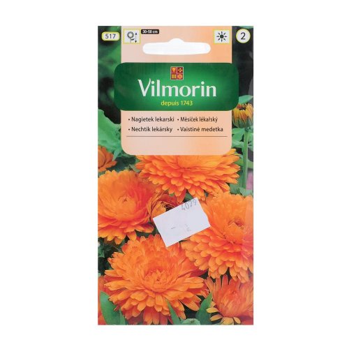 Nechtík lekársky 1g - Vianočné dekorácie