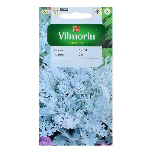 Starček prímorský 0,3g - Vianočné dekorácie a ozdoby