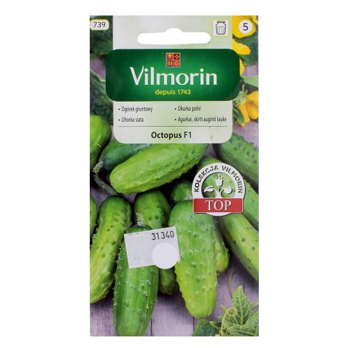 Uhorka siata octopus f1 2g