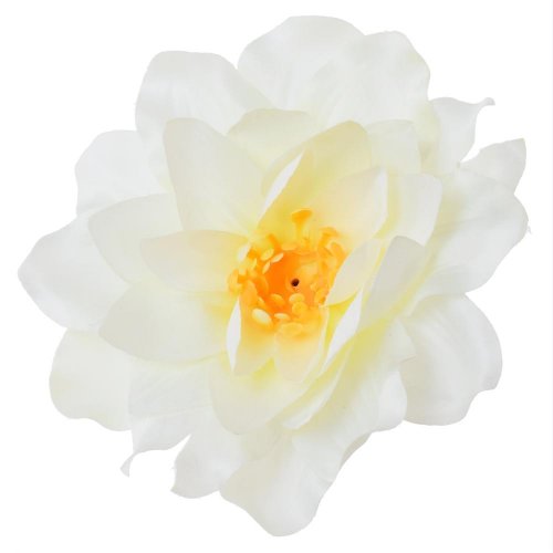 Hlava dahlia biela p:12cm bal:12ks