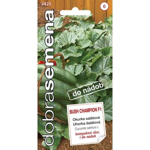 Uhorka šalátová bush champion 10s