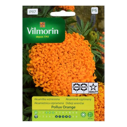 Aksamietnica nízka pollux 0,2g