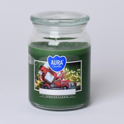 Voň.v skle s vrch.zim.strom 500gr/snd99-348/