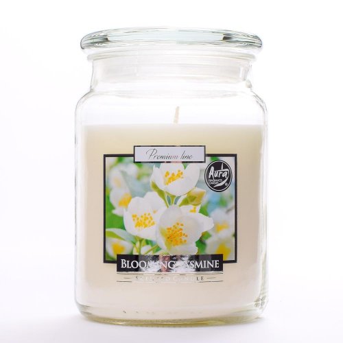 Voň.v skle s vrchn.jazmin/snd99-169/500gr 15cm