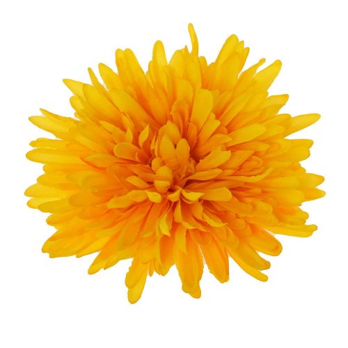 Hlava chryzantéma žltá d:16cm bal:12ks
