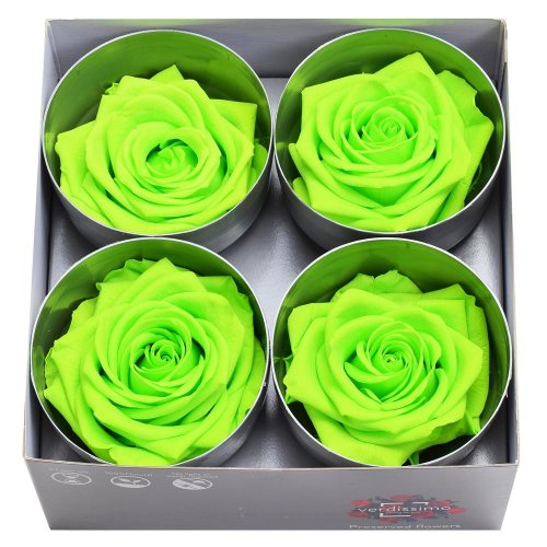 Ruža preparovaná 7/8cm lime green /ks - bal. 4 ks - Vianočné dekorácie