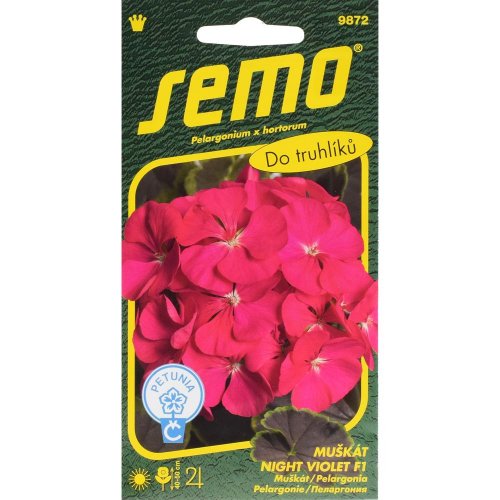 Muškát night violet f1 11s