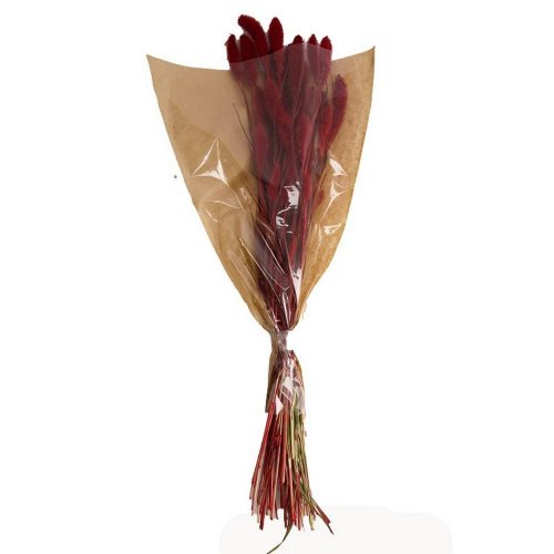 Setaria sušená zv. červená 66x15x6cm