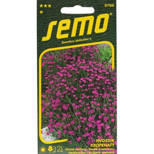 Klinček slzičkový maiden pink 0,1g - Umelé kvety