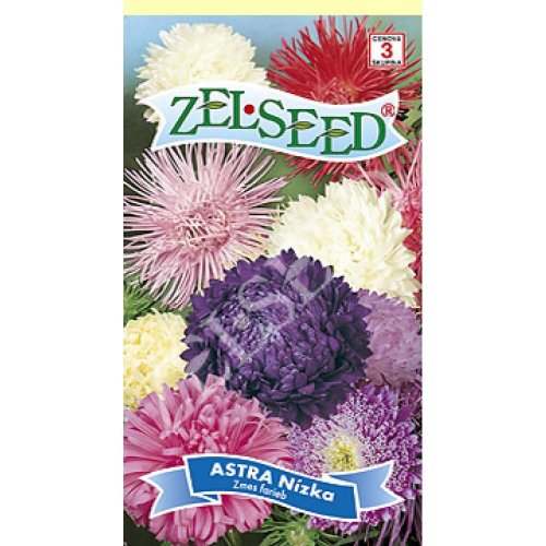 Astra nízka zmes farieb 0,7g - Umelé kvety
