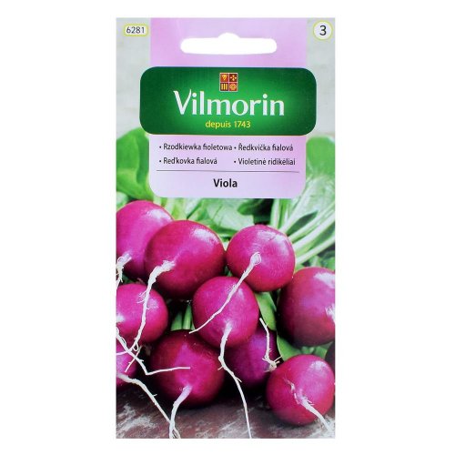 Reďkev - fialová viola 5g