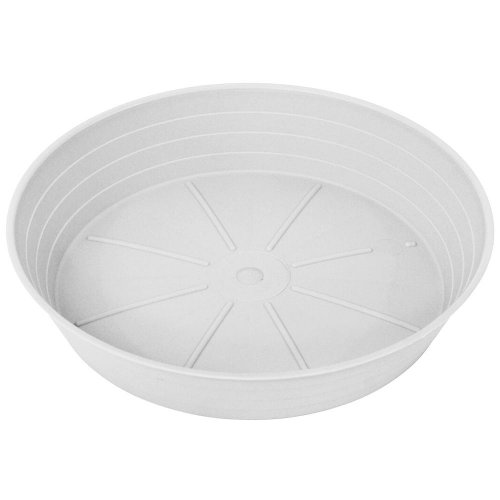 Miska primavera biela 10xh2,3cm