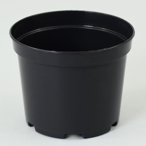 Kontajner 13cm, 1l sbx