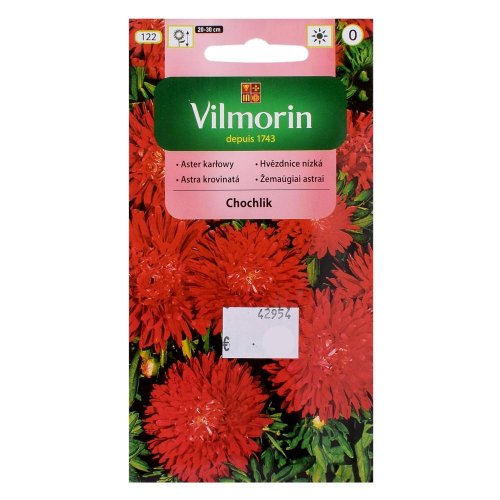 Astrovka čínska trpaslík chochlík 0,5g