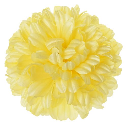 Hlava chryzantéma krémová 14cm bal:12ks