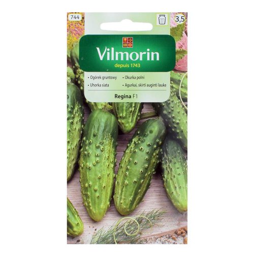 Uhorka siata regina f1 5g