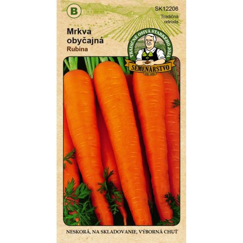 Mrkva obyč. rubína 5g - Umelé kvety