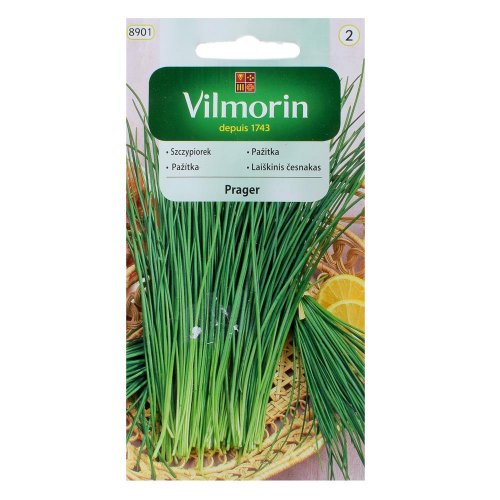 Pažítka záhradná prager 2g