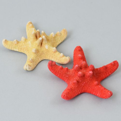 Hviezdica biela+cerv. bag super cena