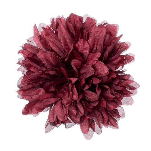 Hlava chryza. bordo p:15cm bal:12ks