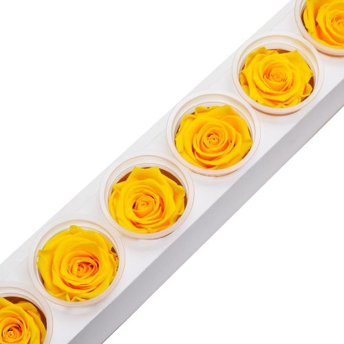 Ruža preparovaná 6,5cm sunny yellow /ks - bal. 6 ks