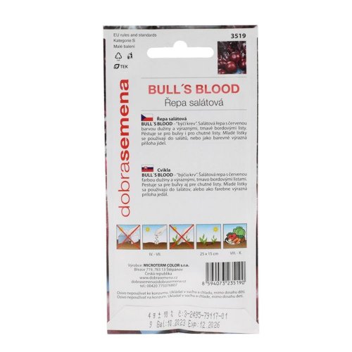 Cvikla guľatá červ. bulls blood - Umelé kvety