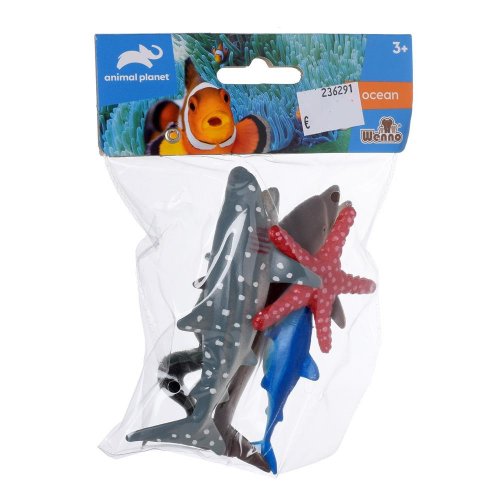 Zviertká morské, 5 ks /bal.