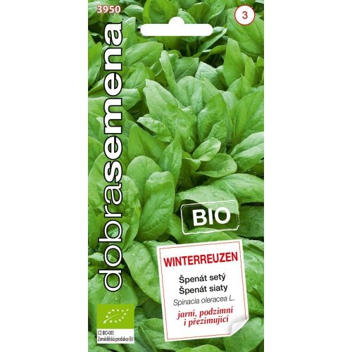 Špenát winterreuzen bio 4g