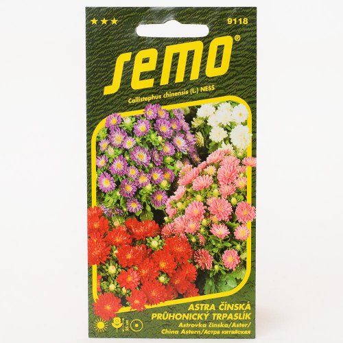 Astra čínska pruh trpasl zmes 0,4g - Vianočné dekorácie a ozdoby