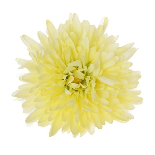 Hlava chryzantéma krém d:16cm bal:12ks
