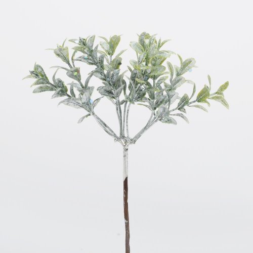 Zápich buxus zel/biely  19cm - Jesenné dekorácie