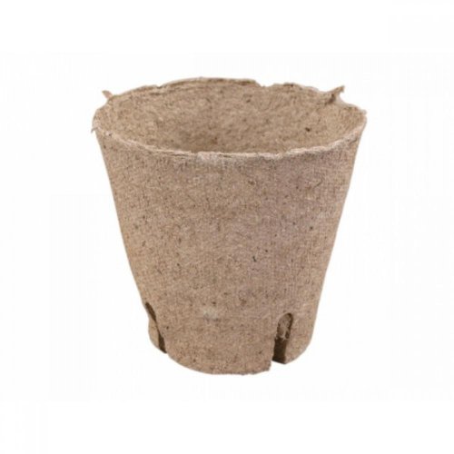 Rašel.sadb.okrúhly 8cm en - Jesenné dekorácie